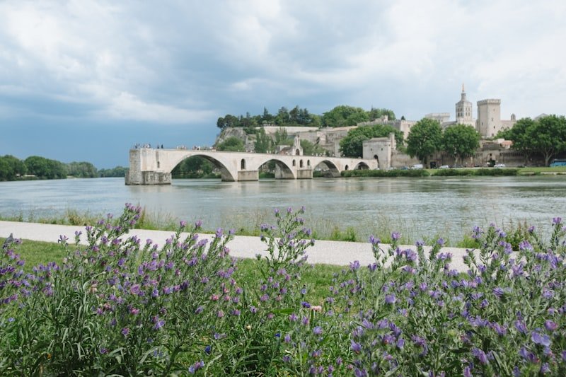 Pont d'Avignon et Palais des Papes