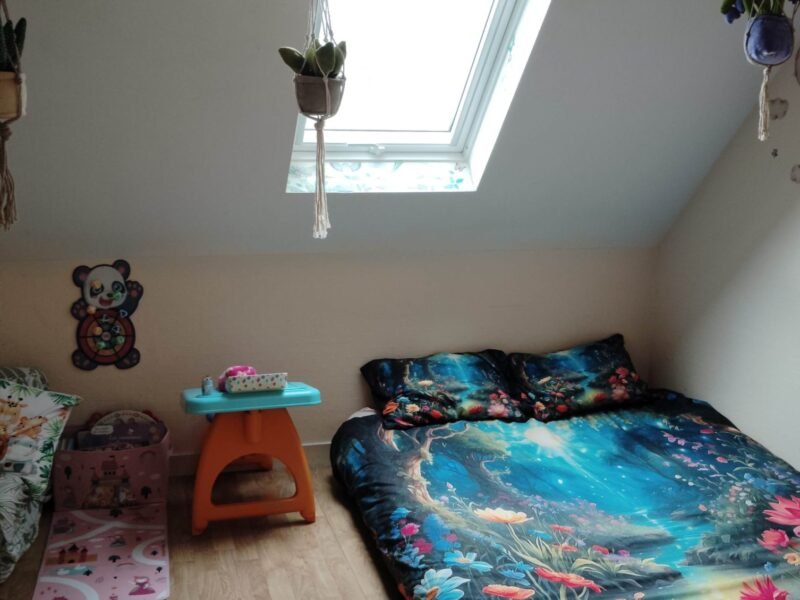 Chambre dans duplex proche gare