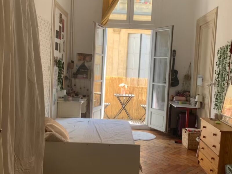 Grande chambre - dans grand appartement de 110 m2 en centre ville avec balcon