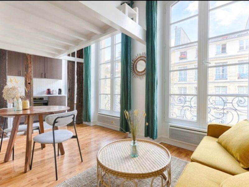 Grand studio lumineux style loft à Paris centre châtelet les halles