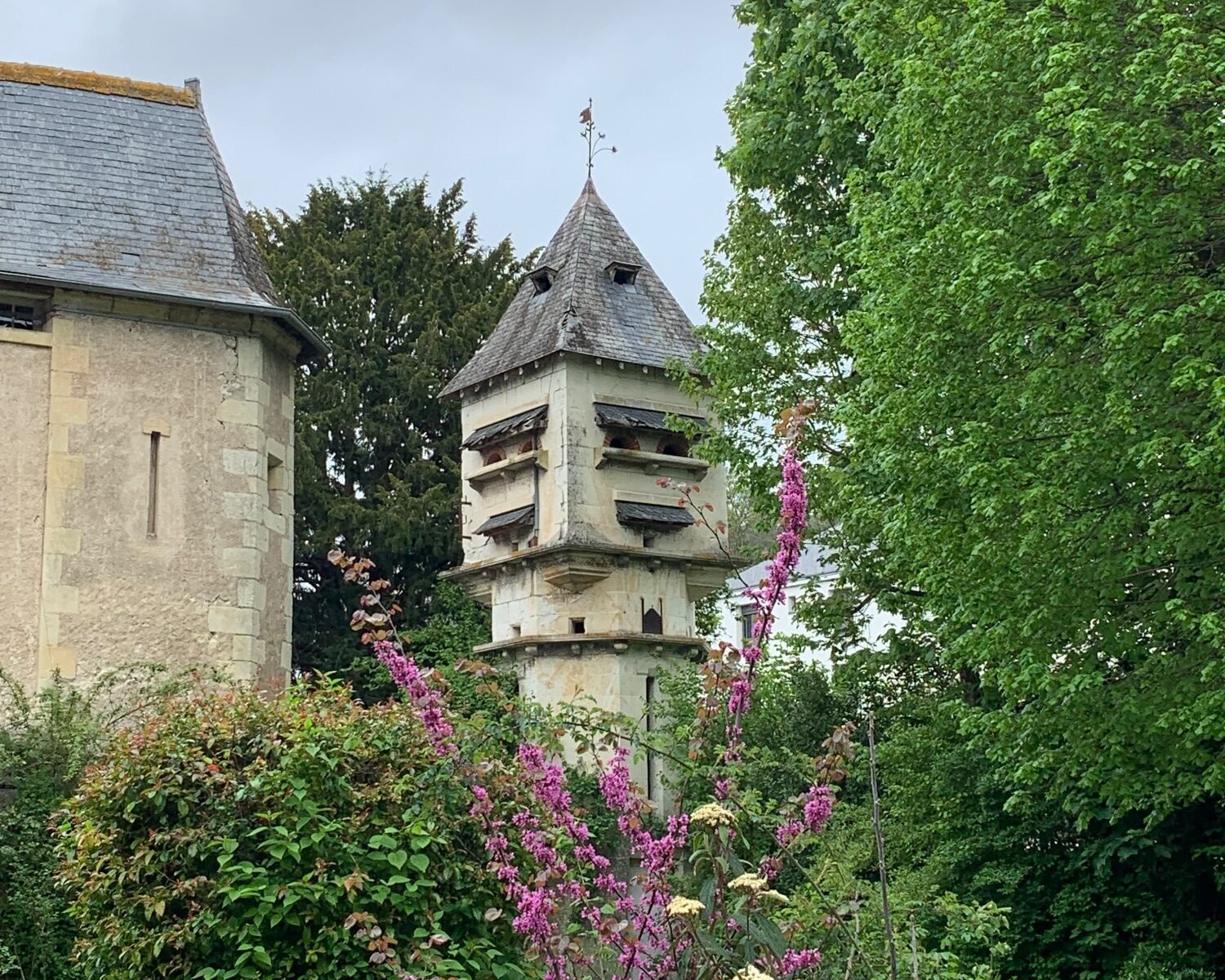 Villa de charme 55m2 au cœur d’une propriété historique à Rochecorbon (10min gare tgv).